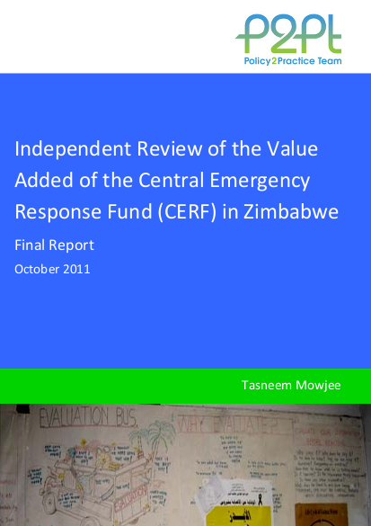 1110018 cerf zimbabwe review final report png
