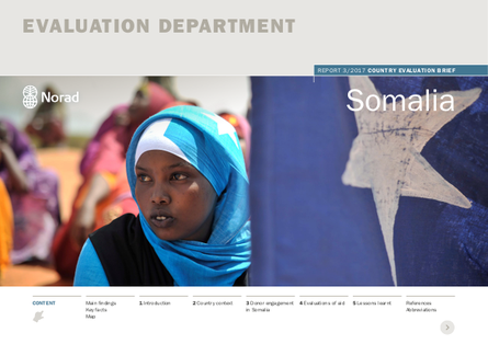 3 17 country evaluation brief somalia png