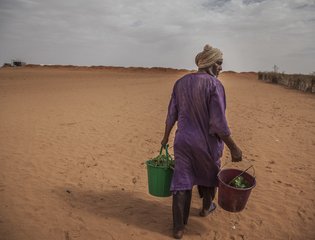Drought Maurtania