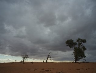55015503835_15981d42a4_k