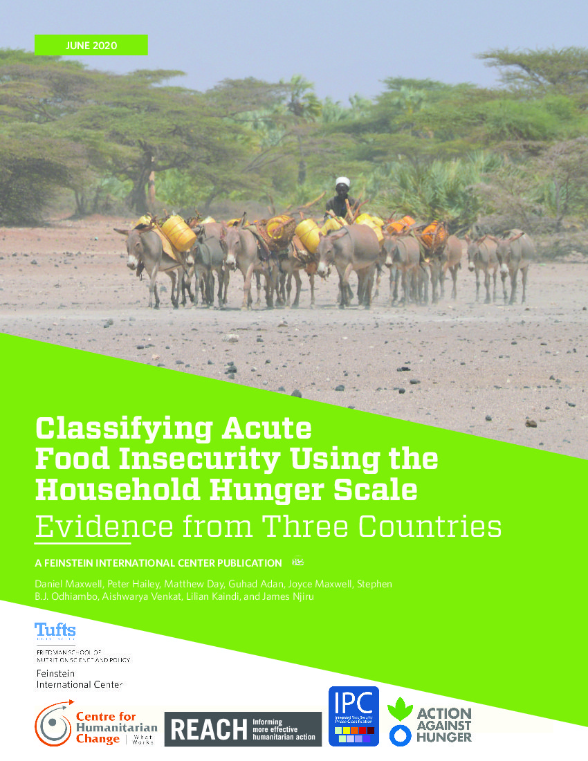 Classifying acute food insecurity using the household hunger scale | ALNAP