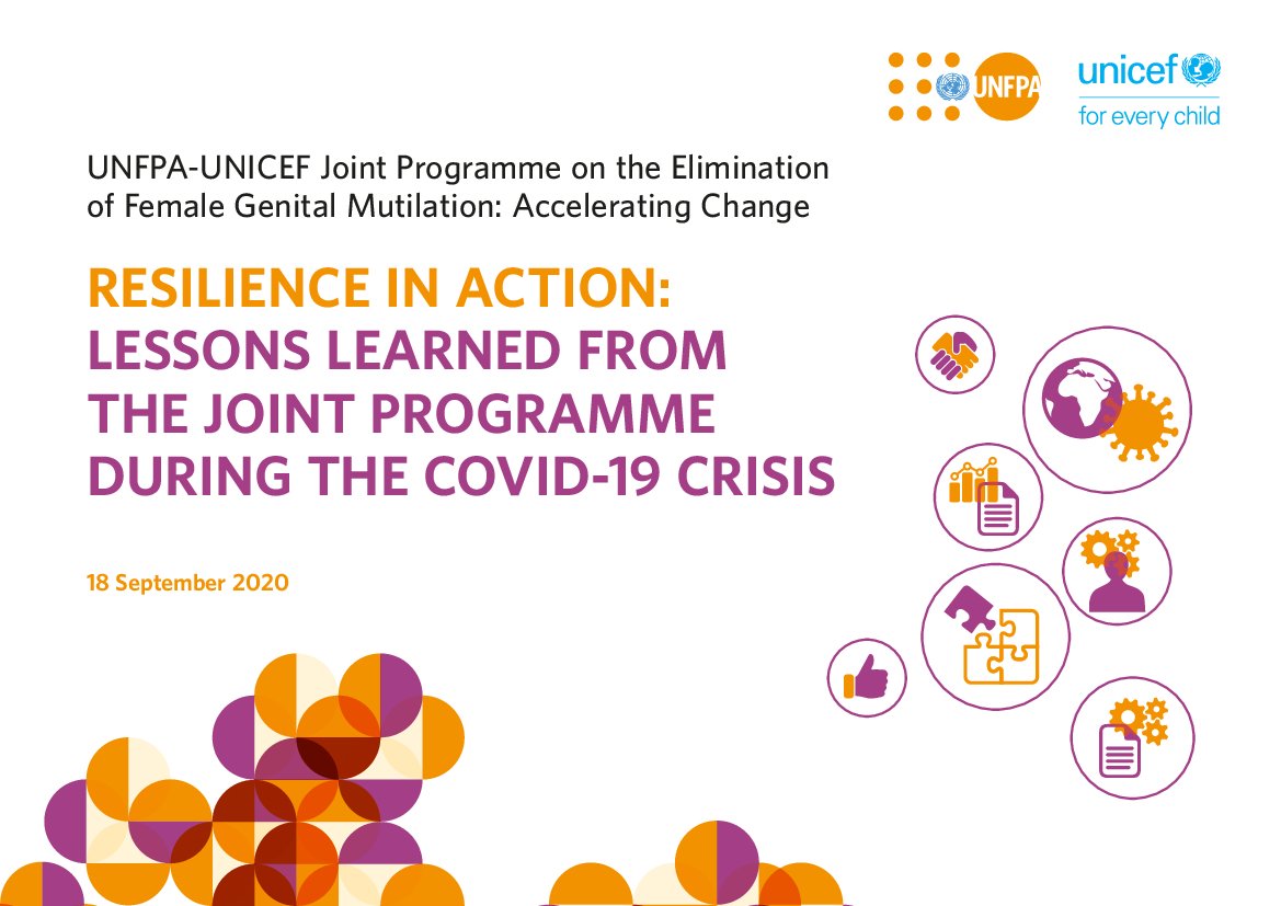 Resilience In Action: Lessons Learned from Joint Programme During the ...