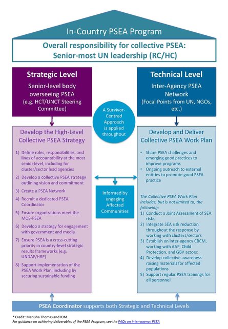 Diagram in country PSEA Program %282020%29 jpg