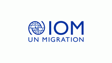 IOM card.png