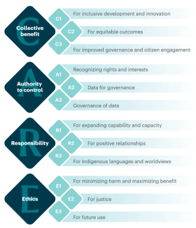 CARE Data Maturity Model