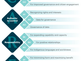 CARE Data Maturity Model