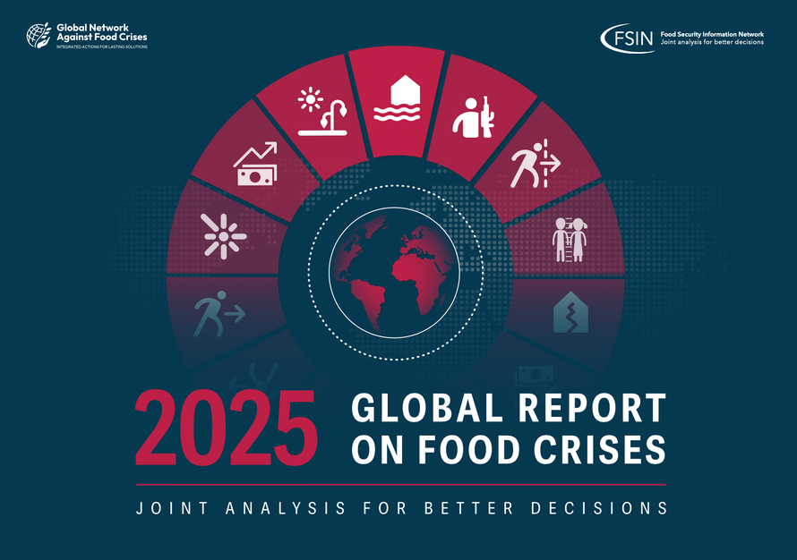 Global Report on Food Crises 2025 | ALNAP