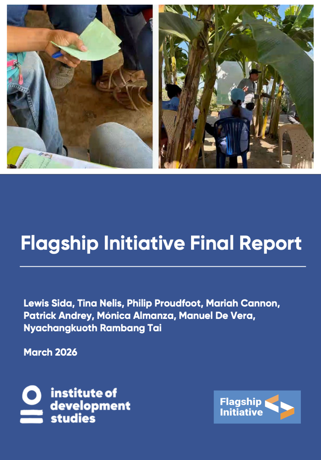 Flagship Initiative - Final Report | ALNAP