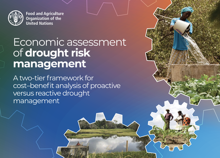 Economic assessment of drought risk management | ALNAP