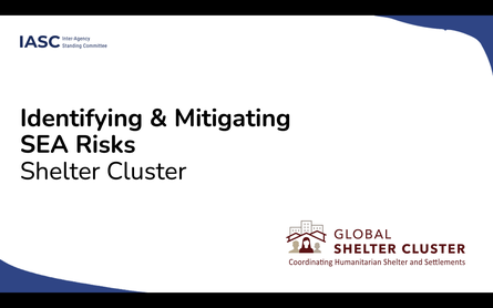 Sexual Exploitation and Abuse (SEA) Risk Mapping & Mitigation Package