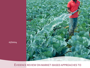 Evidence Review on Market-Based Approaches to Mitigation and Adaptation
