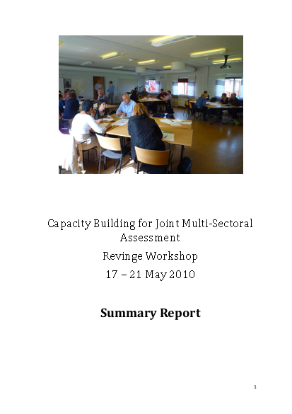 Acaps workshop report may 2010 png