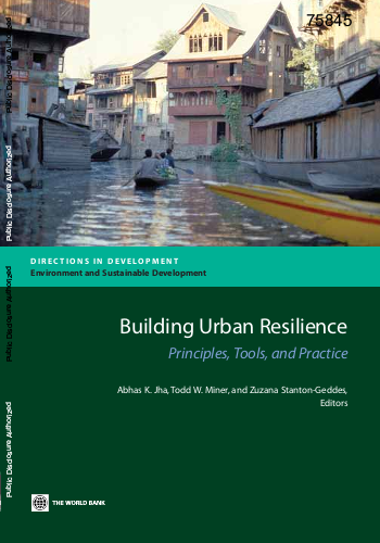 Building urban resilience principles%2C tools%2C and practice  png