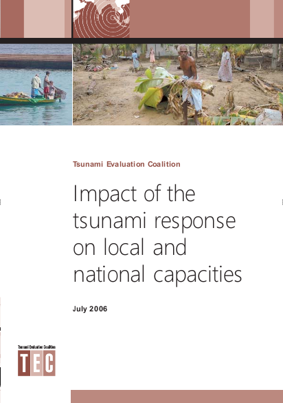 Capacities final report png