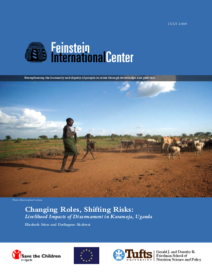Changing roles shifting risks 2009 png