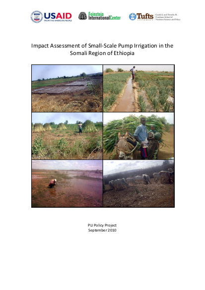 Chf impact assessment somali region png