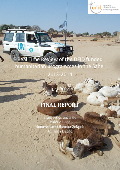 Dfid real time review in sahel final report png