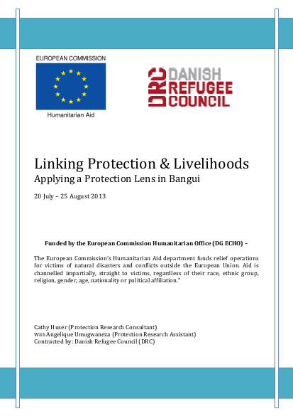 Drc car protection assessment report version courte png