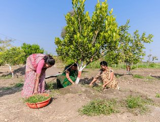 equalstock-wsKfvr5AANg-unsplash