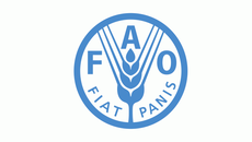 fao card.jpeg