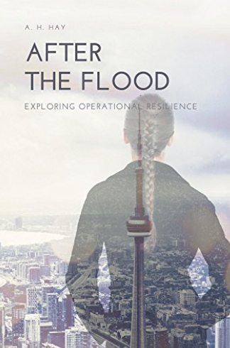 Flood PNG