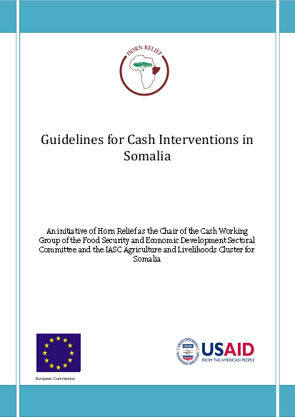 Horn relief guidelines for cash interventions in somalia september 2010 png
