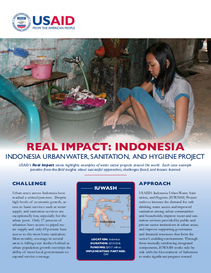 Iuwash real impact case example 051713 508 png