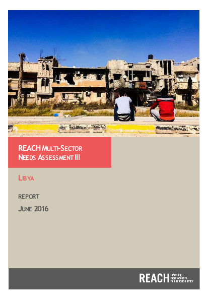 Reach lby report multi sector needs assessment update june 2016 png