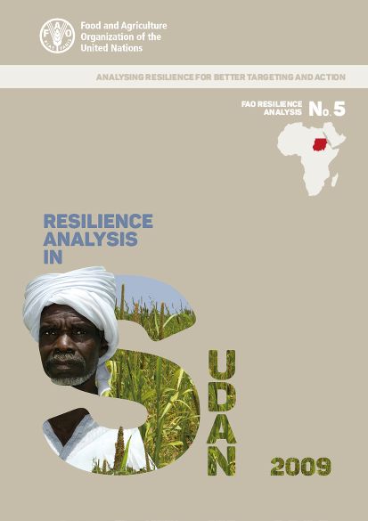 Resilience analysis in sudan png