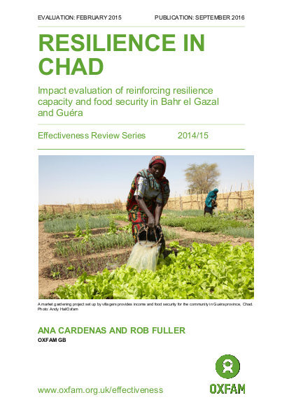 Resilience chad effectiveness review 210916 en png