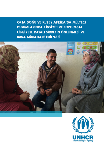 Sgbvpreventionandresponseoverviewinmena summary turkish png