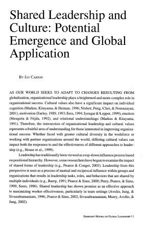 Ssrn id1317488 png