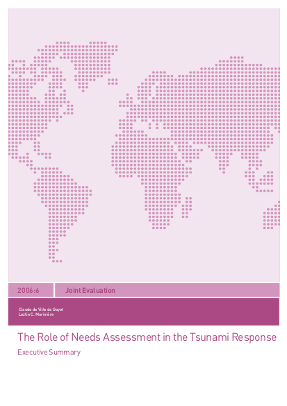 The role of needs assessment in the tsunami respon png