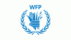 wfp card new.jpg