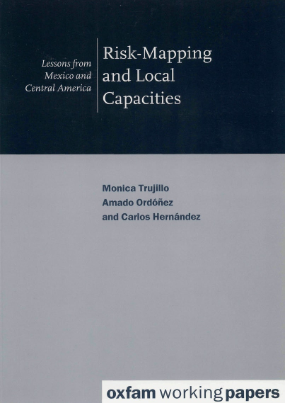 Wp risk mapping local capacities 010100 en png
