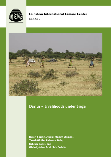 Young darfur livelihoods under seige png